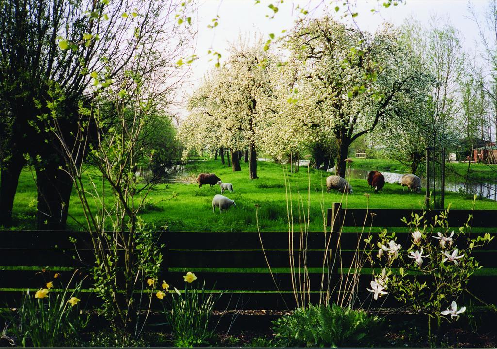 De Boomgaard Groene Hart Polsbroekerdam Exterior photo